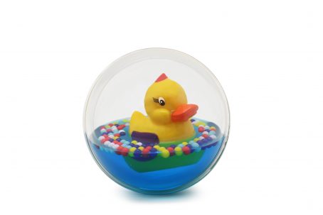 waterball duck