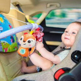 Double Sided Car Seat Activity Arch | BenBat